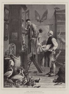 鳥類学者 作： Henry Stacey Marks